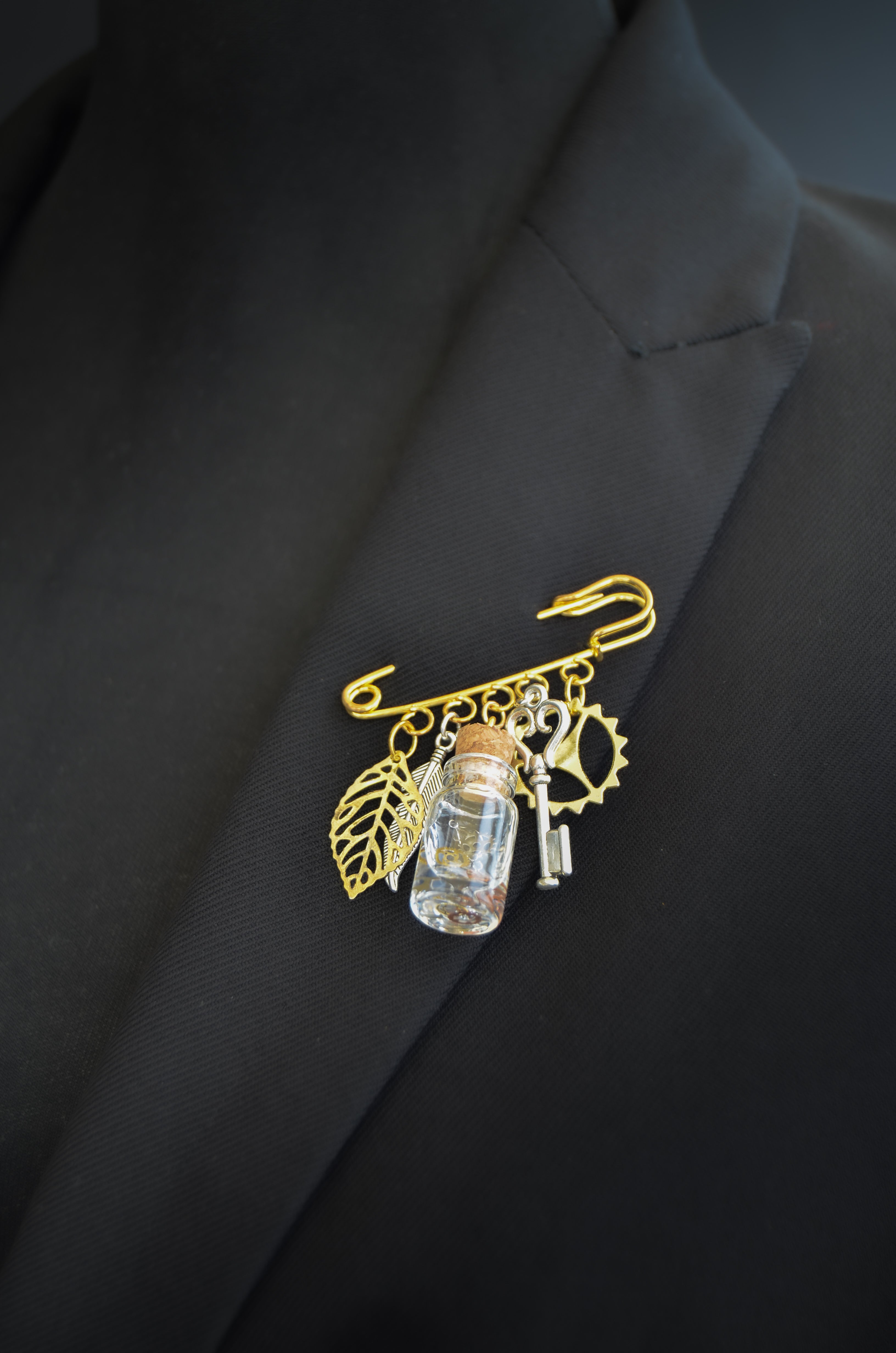 Curiosity Cabinet Brooch